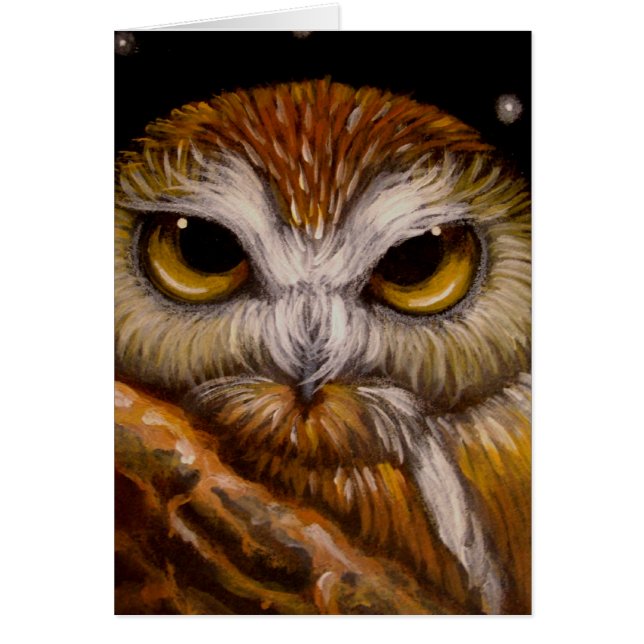 NORDSAW-WHET EULEN-KARTE (Vorne)