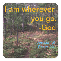 Nordwaldpfad im Frühfall