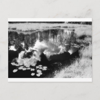 Nordwaldsee mit schöner reflektierter Landschaft Postkarte