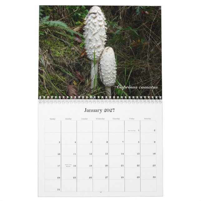 Nordwestpilz-Kalender 2010 Kalender (Jan 2027)
