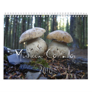 Nordwestpilz-Kalender 2010 Kalender