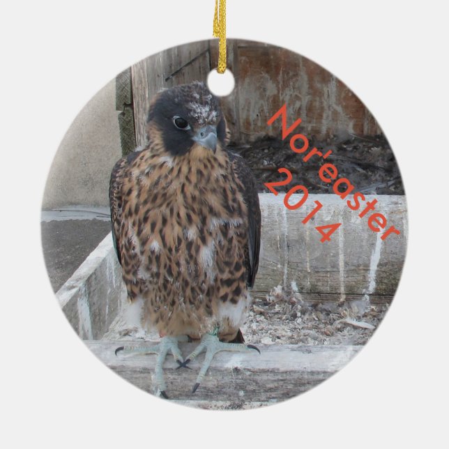 Nor'easter-Verzierung 2014 Keramik Ornament (Hinten)