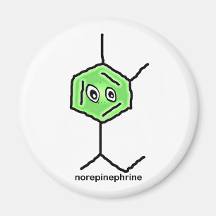 Norepinephrine Magnet