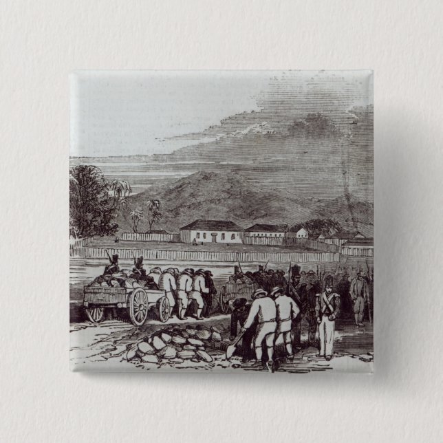 Norfolk-Insel Button (Vorderseite)