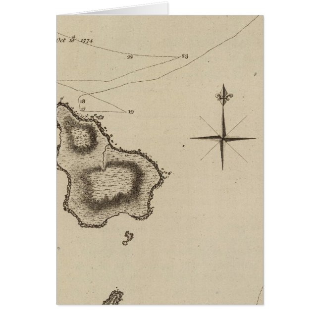 Norfolk Isle (Vorne)