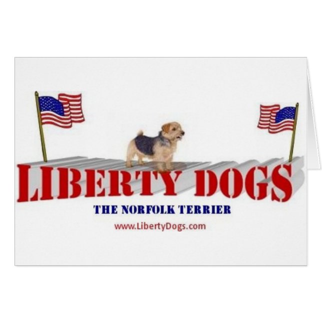 Norfolk Terrier (Vorderseite (Horizontal))