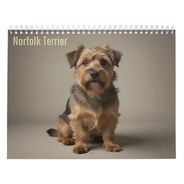 Norfolk Terrier 2027 Wandkalender (Titelbild)