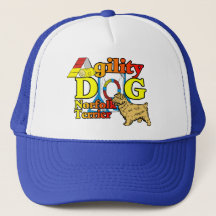 Norfolk_Terrier_Agility