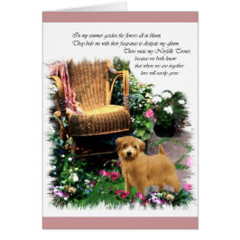 Norfolk Terrier Art Gifts