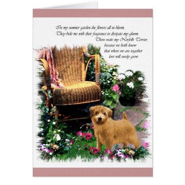 Norfolk Terrier Art Gifts (Vorne)
