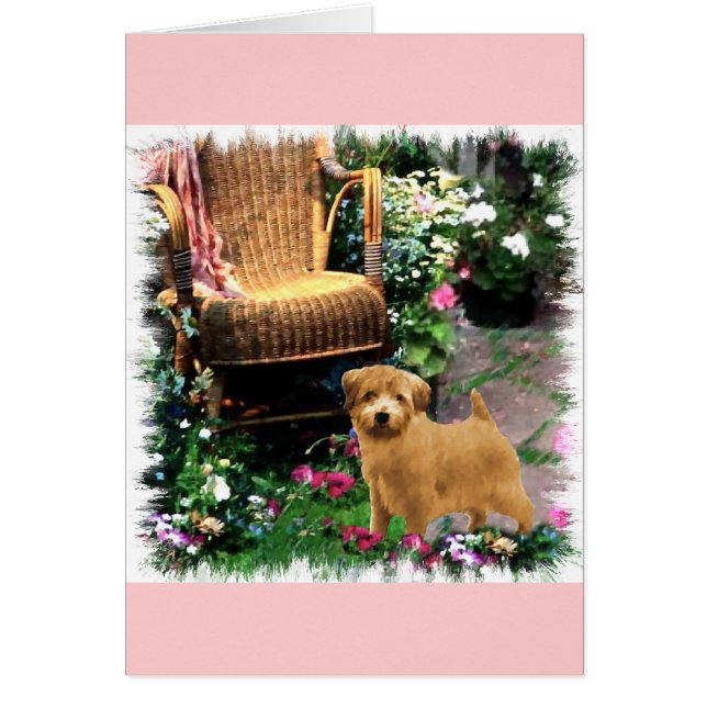 Norfolk Terrier Art Gifts (Vorne)
