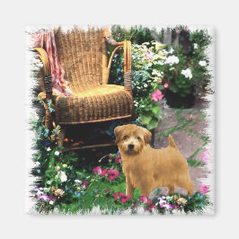 Norfolk Terrier Art Gifts Magnet