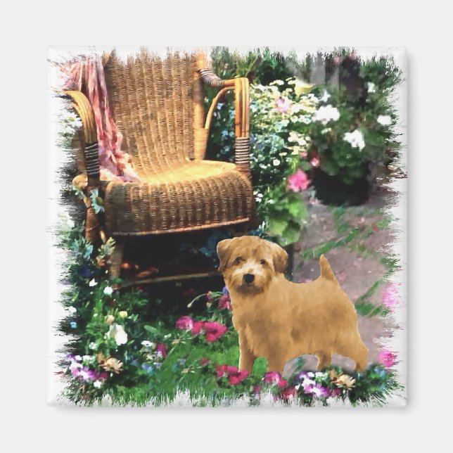 Norfolk Terrier Art Gifts Magnet (Vorne)