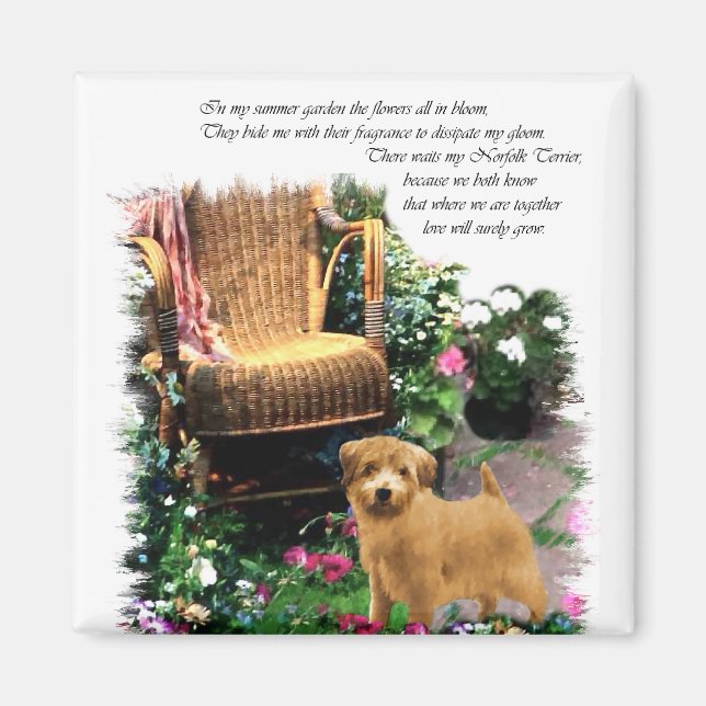 Norfolk Terrier Art Gifts Magnet (Vorne)