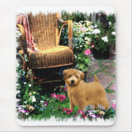 Norfolk Terrier Art Gifts Mousepad