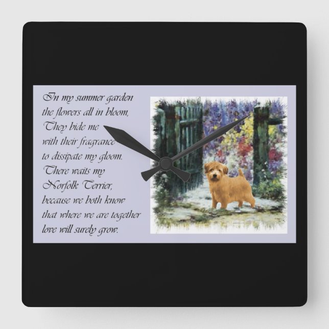 Norfolk Terrier Art Gifts Quadratische Wanduhr (Vorderseite)