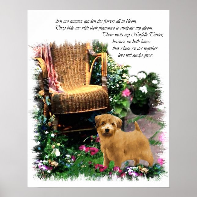 Norfolk Terrier Art Print Poster (Vorne)