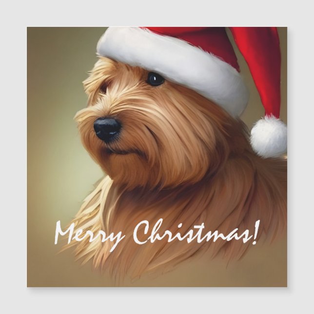 Norfolk Terrier Christmas Magnetkarte (Vorderseite)