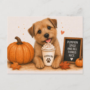 Norfolk Terrier Cozy Pumpkin Spice Puppaccino Postkarte