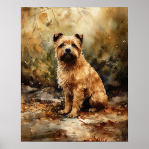 Norfolk Terrier Dog Art Print Poster