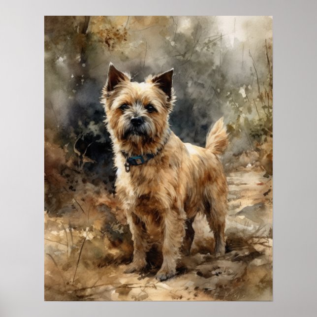 Norfolk Terrier Dog Art Print Poster (Vorne)