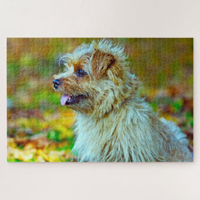 Norfolk Terrier Dog. Puzzle (Horizontal)