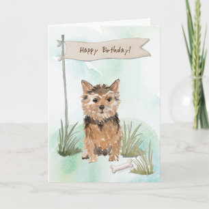 Norfolk Terrier Dog unter Geburtstagszeichen Karte