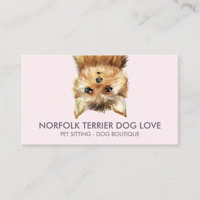 Norfolk Terrier Dog Visitenkarte