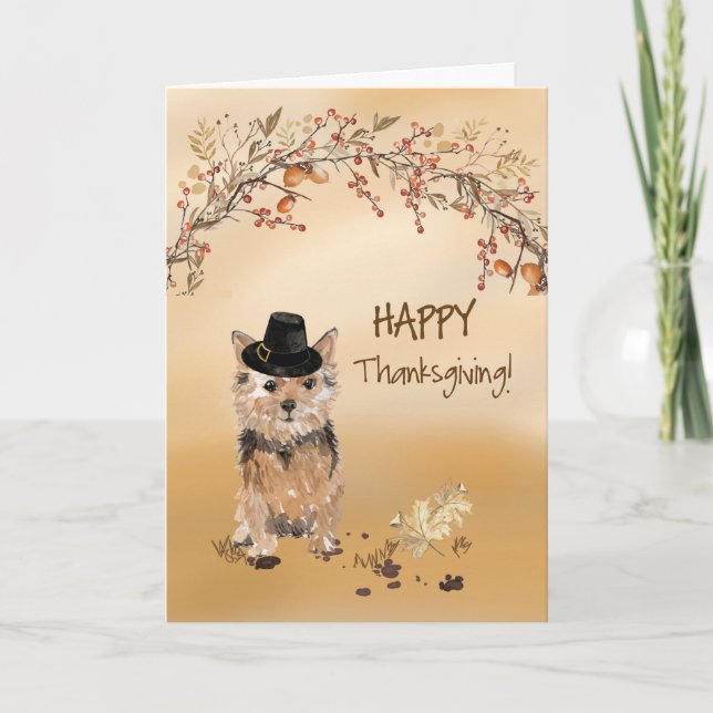 Norfolk Terrier Funny Pilgrim Hat Erntedank Karte (Vorderseite)