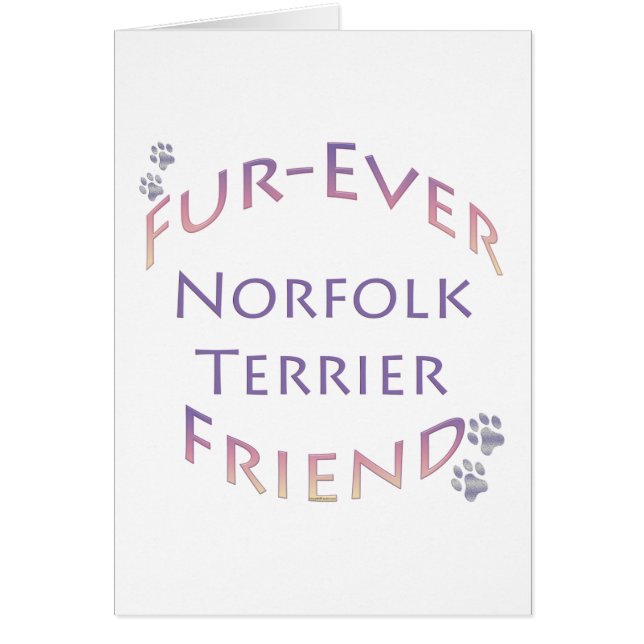 Norfolk Terrier Furever (Vorne)