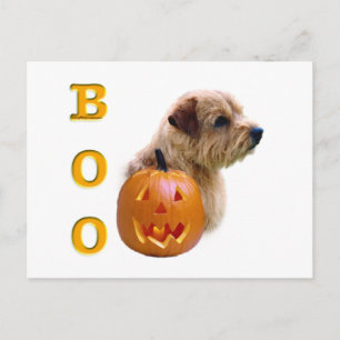Norfolk Terrier Halloween Boo Postkarte