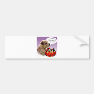 Norfolk Terrier Halloween Candy Autoaufkleber