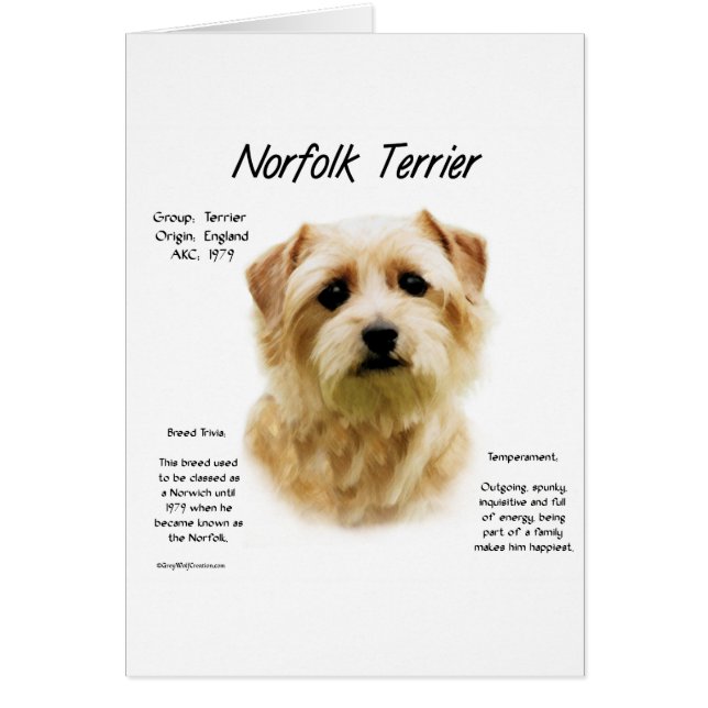Norfolk Terrier History Design (Vorne)