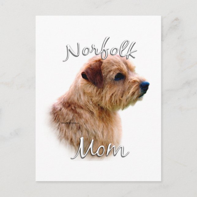 Norfolk Terrier Mama 2 Postkarte (Vorderseite)