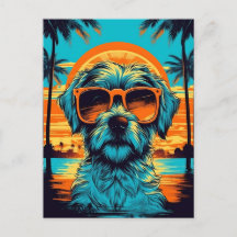 Norfolk Terrier mit Sonnenbrille am Strand