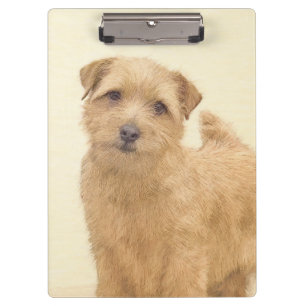 Norfolk Terrier Painting - Original Dog Art Klemmbrett