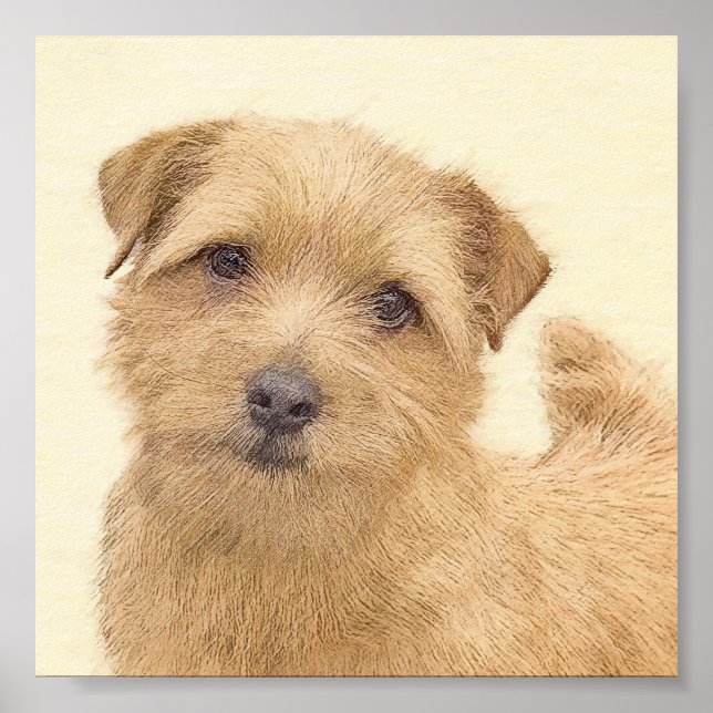 Norfolk Terrier Painting - Original Dog Art Poster (Vorne)