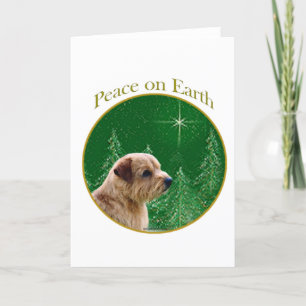 Norfolk Terrier Peace Feiertagskarte