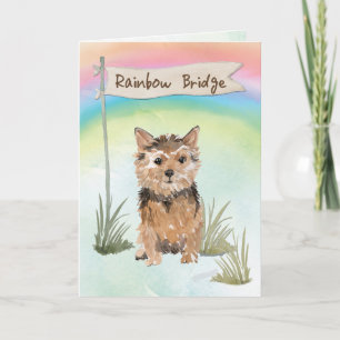 Norfolk Terrier Pet Beileid über Rainbow Bridge Karte
