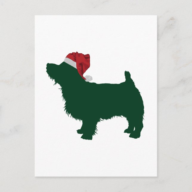Norfolk Terrier Postkarte (Vorderseite)