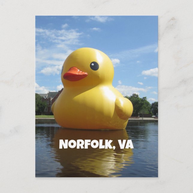 Norfolk, Virginia (Ente) Postkarte (Vorderseite)