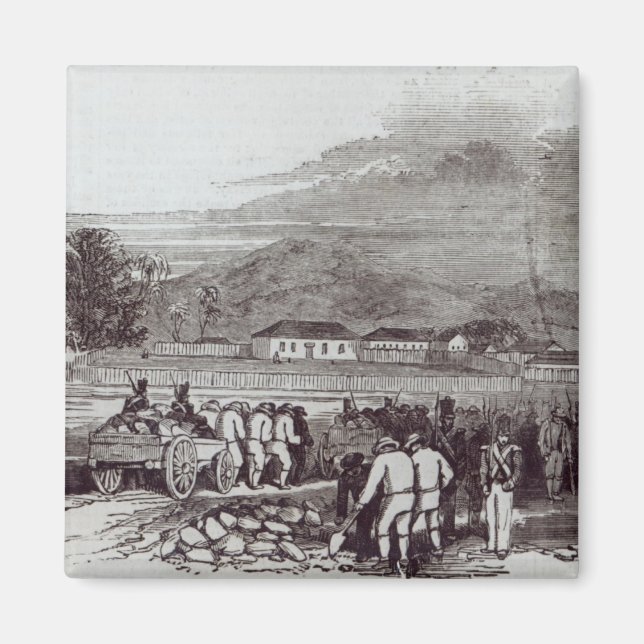 Norfolkinsel Magnet (Vorne)