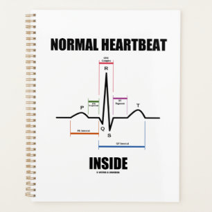 Normal Heartbeat Inside EKG EKG Elektrokardiogramm Planer