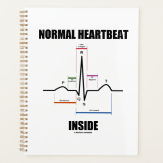Normal Heartbeat Inside EKG EKG Elektrokardiogramm Planer