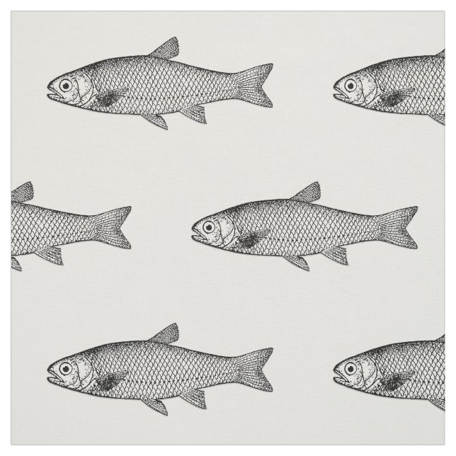 Normaler Fisch, Wahl des Farbverlaufs Stoff (Muster)