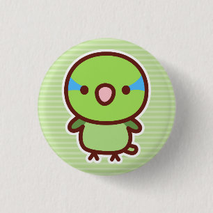Normaler männlicher Pazifik-Sperlingspapagei Button