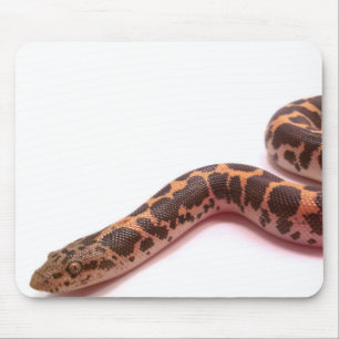 Normales Kenyansand-Boa mousepad