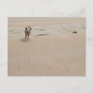 Normandie 2009 (1) postkarte