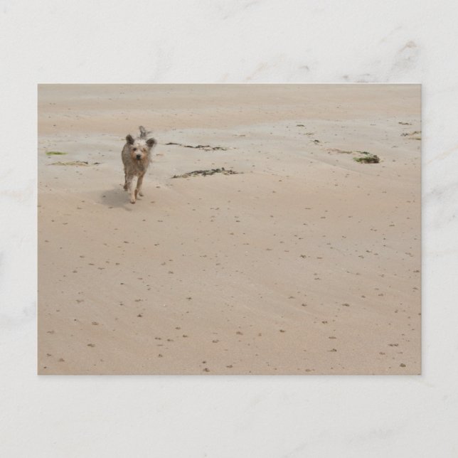 Normandie 2009 (1) postkarte (Vorderseite)