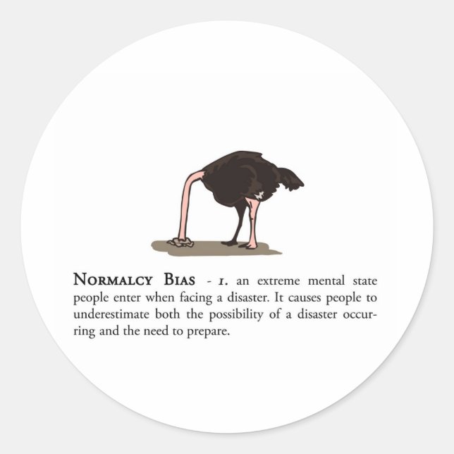 Normcy Bias Runder Aufkleber (Vorderseite)